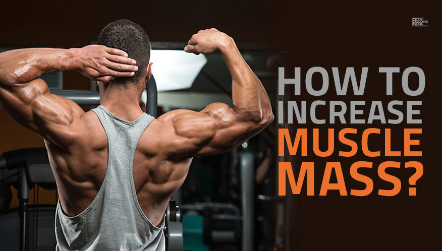 8-tips-to-increase-muscle-mass